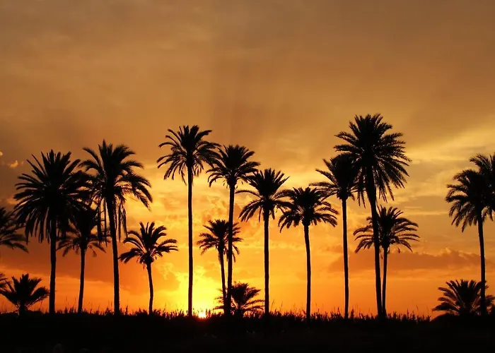 Naufragos * Torrevieja